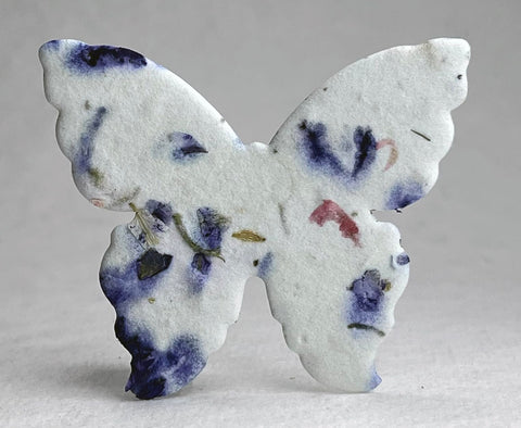 Of The Earth seed paper butterflies thrives in partial shade and sun