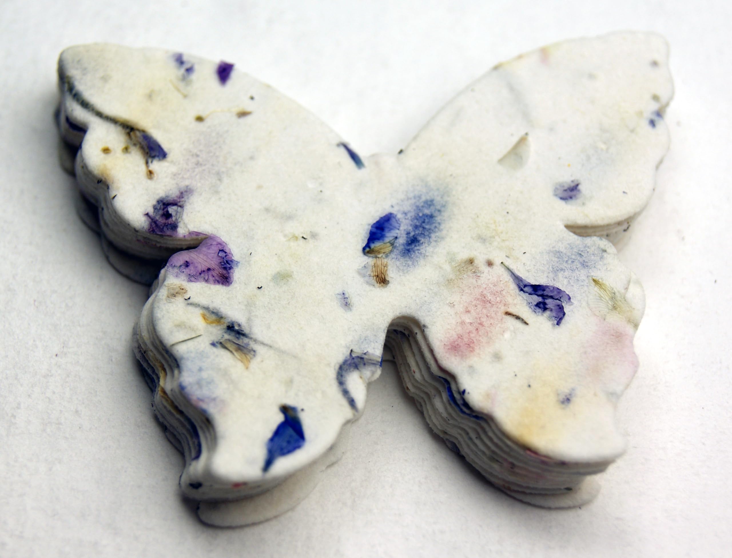 Of The Earth seed paper butterflies wildflower seed mix blooms