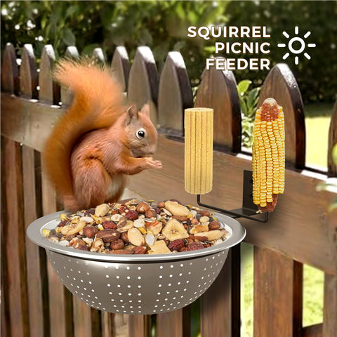 Ofasixx squirrel feeder removable stainless steel bowl for easy cleaning