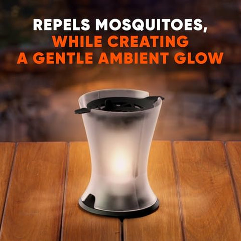 Back view of OFF! lamp resting on table during sunset