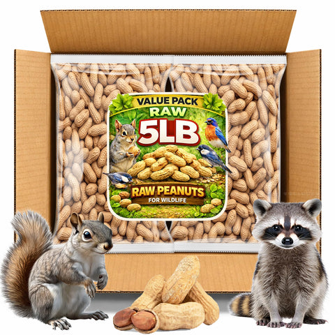 Office Roast raw peanuts in shell bulk pack for snacking and wildlife feeding