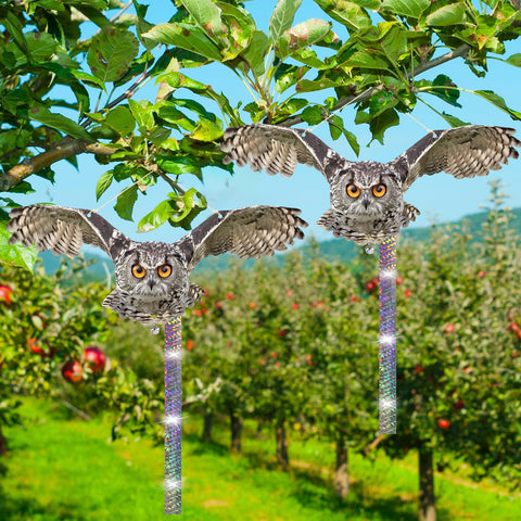 OffiCreative owl deterrent packaging ready for garden setup