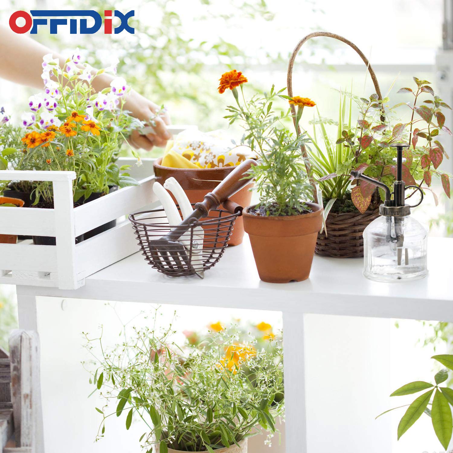 OFFIDIX plastic bronze-top sprayer keeps rust away while offering reliable spray.