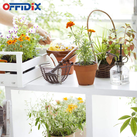 OFFIDIX plastic bronze-top sprayer keeps rust away while offering reliable spray.