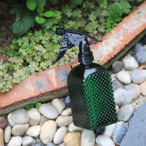 Offidix compact plant watering bottle ideal for indoor herbs and succulents