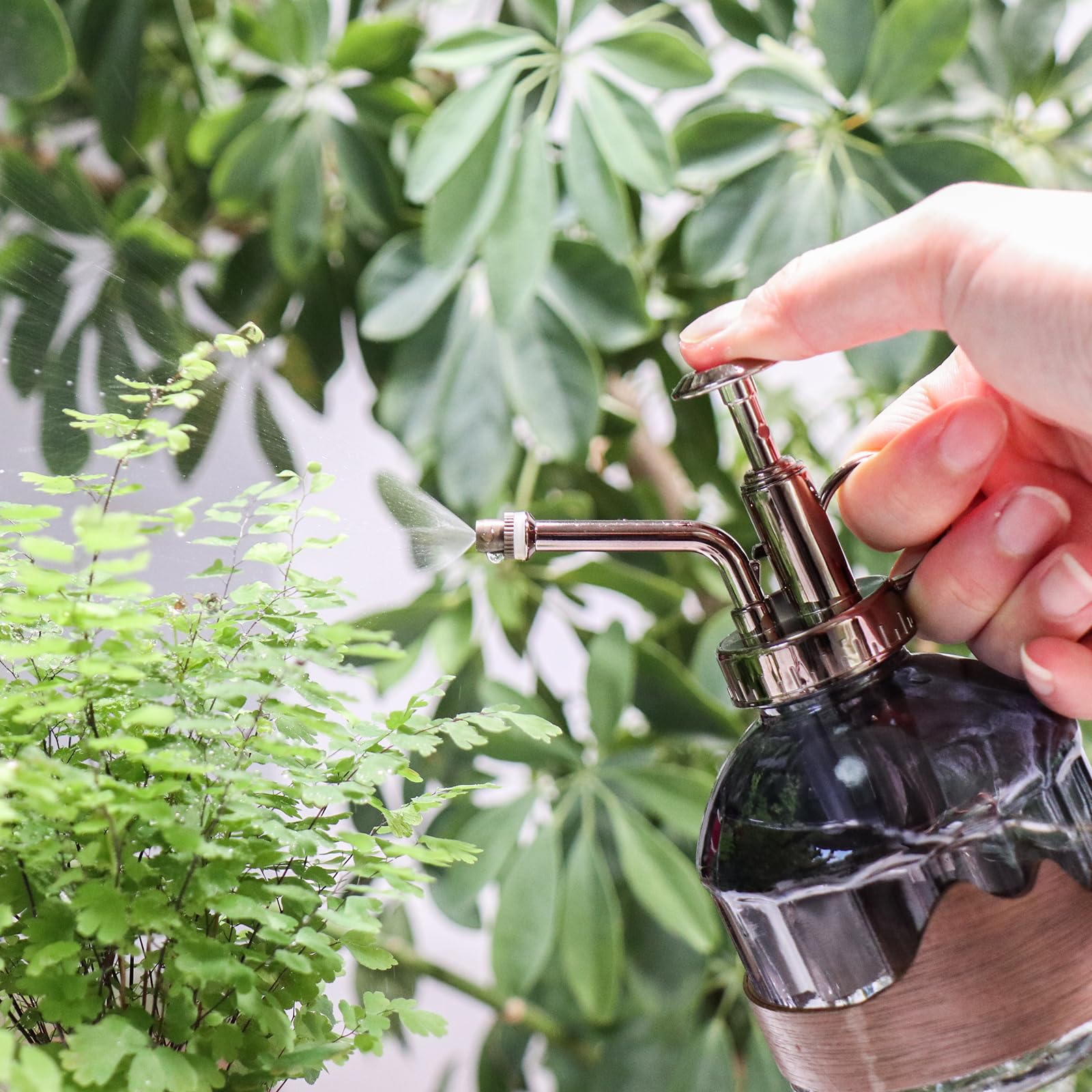 OFFIDIX glass plant mister bronze top - vintage style enhances decor.