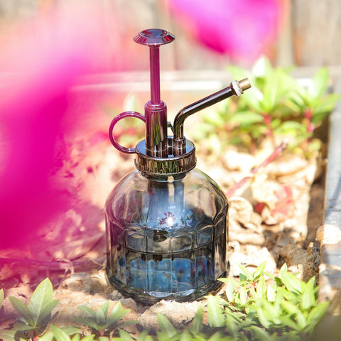 OFFIDIX glass plant spray bottle Nordic design adds subtle decor to indoor spaces.