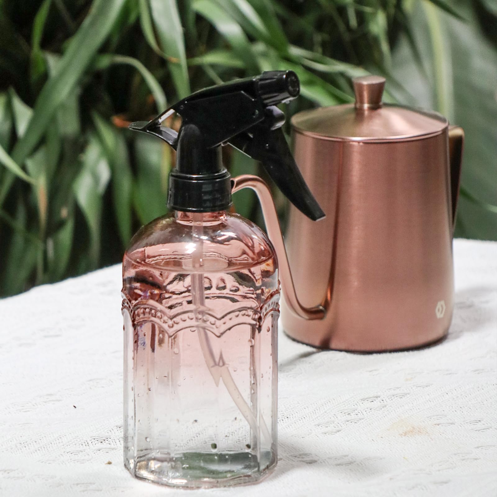 Glass spray bottle for plant mist and light cleaning
