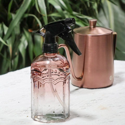 Glass spray bottle for plant mist and light cleaning