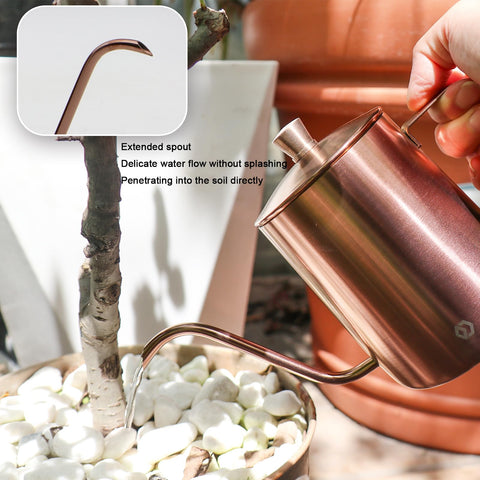 Compact indoor watering set for desks and small pots