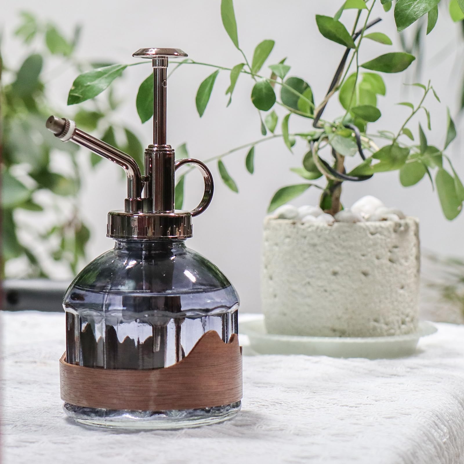 OFFIDIX mini watering can sprayer - compact indoor solution for succulents.