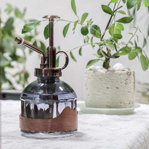 OFFIDIX mini watering can sprayer - compact indoor solution for succulents.