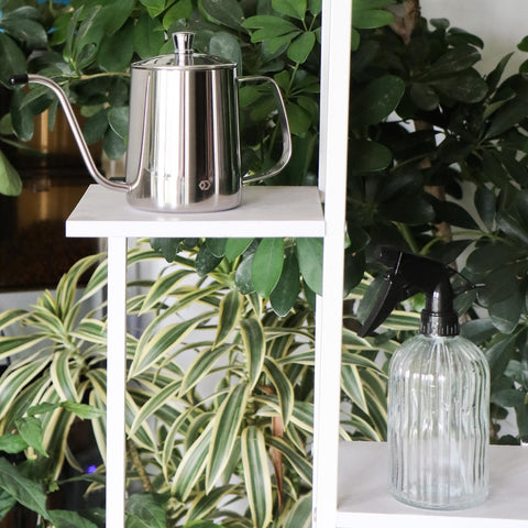 OFFIDIX stylish set doubles as decor while caring for plants.