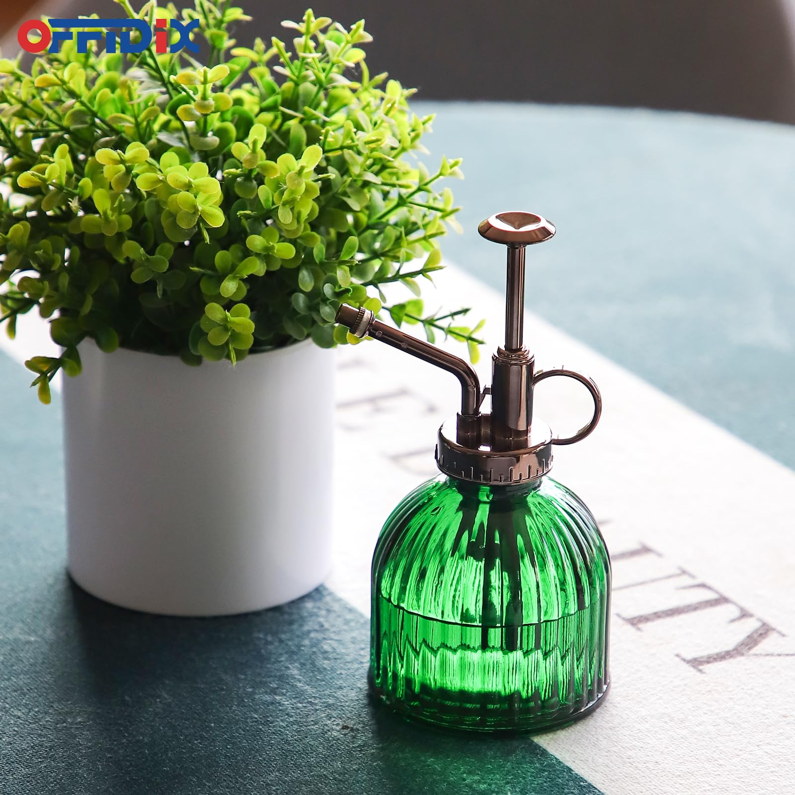 OFFIDIX terrarium mister suitable for humidity-loving indoor plants.