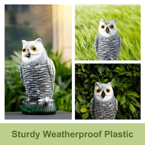 OFFO Snow Owl poolside decoration for an inviting yard