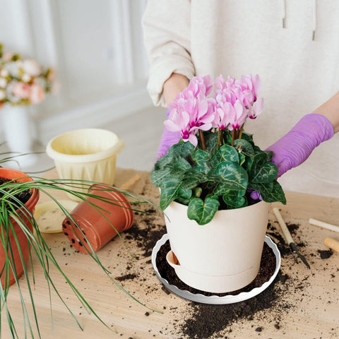 OFiSEXPT durable-plastic-construction withstands regular gardening and outdoor use.