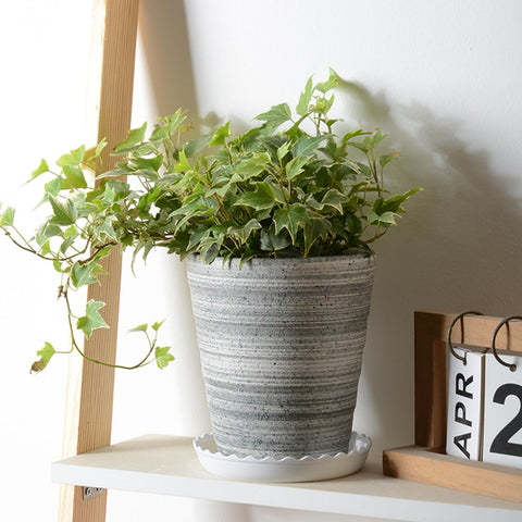 OFiSEXPT indoor-outdoor-garden-saucer suits any setup and decor.