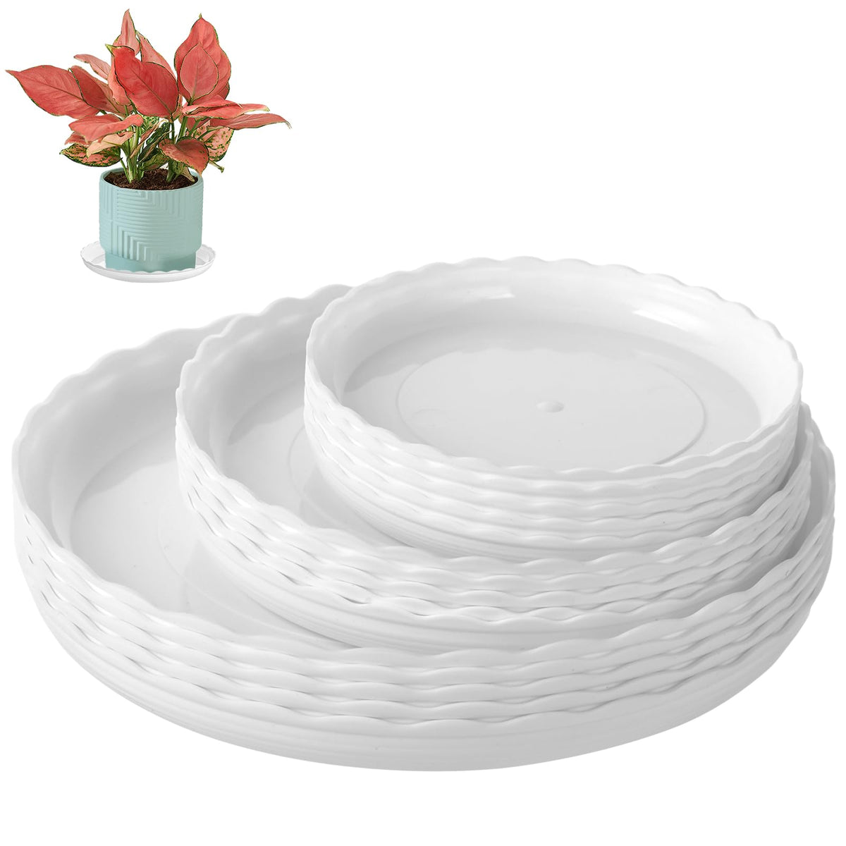 OFiSEXPT plant-saucer 6-inch wave-pattern protects floors by catching drips.