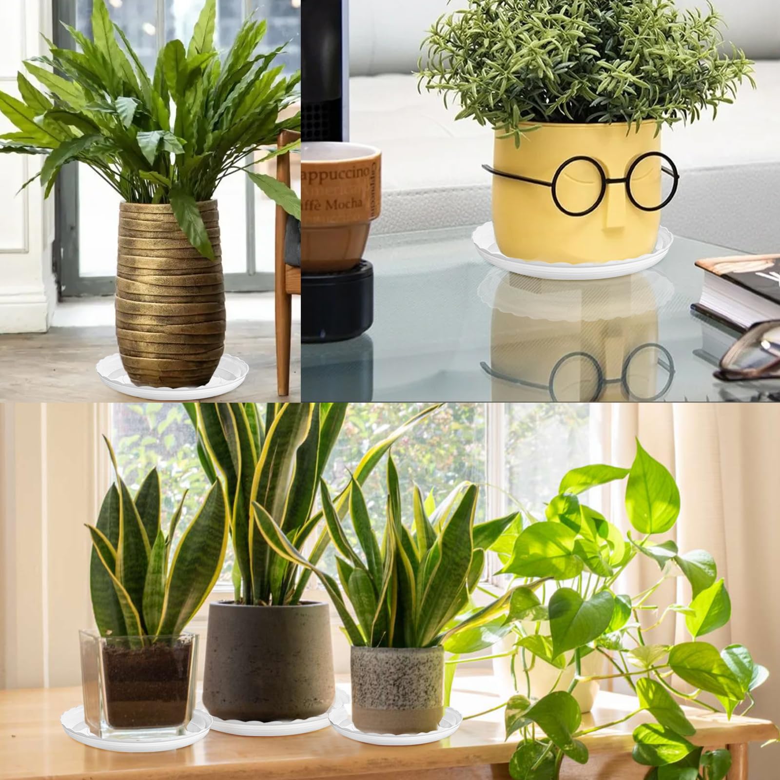OFiSEXPT multi-pack-15-pcs keeps care organized for many plants.