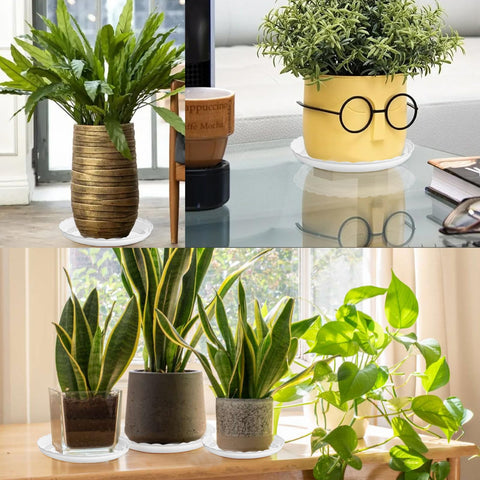 OFiSEXPT multi-pack-15-pcs keeps care organized for many plants.