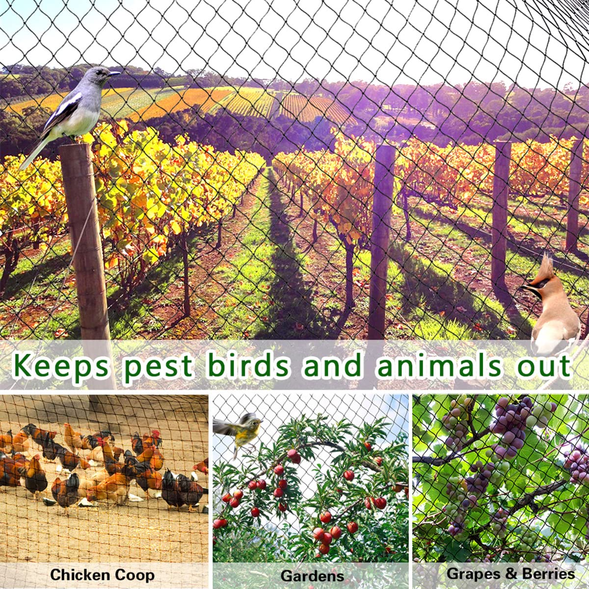 OGORI Bird Netting in a garden use protects crops from birds and pests.