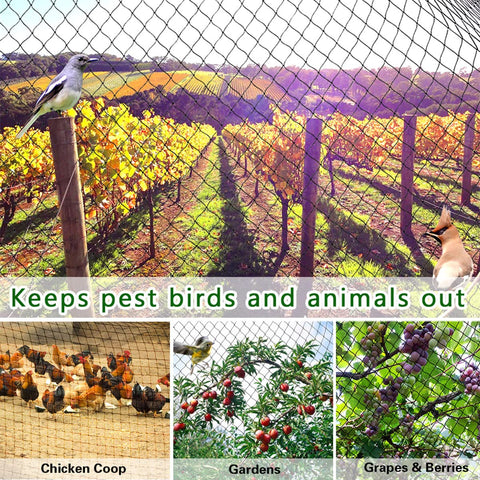 OGORI Bird Netting in a garden use protects crops from birds and pests.