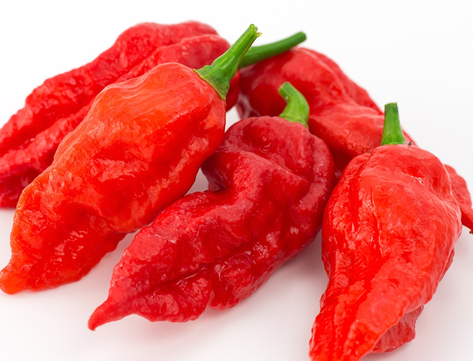 Ohio Heirloom Seeds Ghost Pepper seeds, great for spicy garden peppers