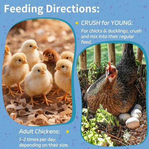 OHNAME BSFL larvae molting-support aiding feather regrowth.