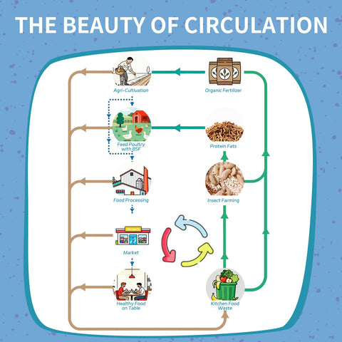 OHNAME BSFL sustainable-sourcing image signaling eco-friendly poultry nutrition.