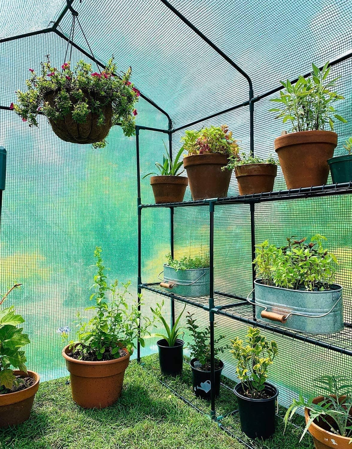 Ohuhu greenhouse supports organic gardening with safe, year-round production.