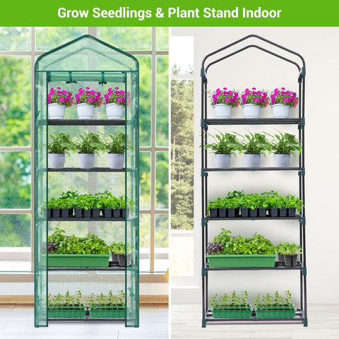 Ohuhu mini greenhouse assembled on patio for extended growing season