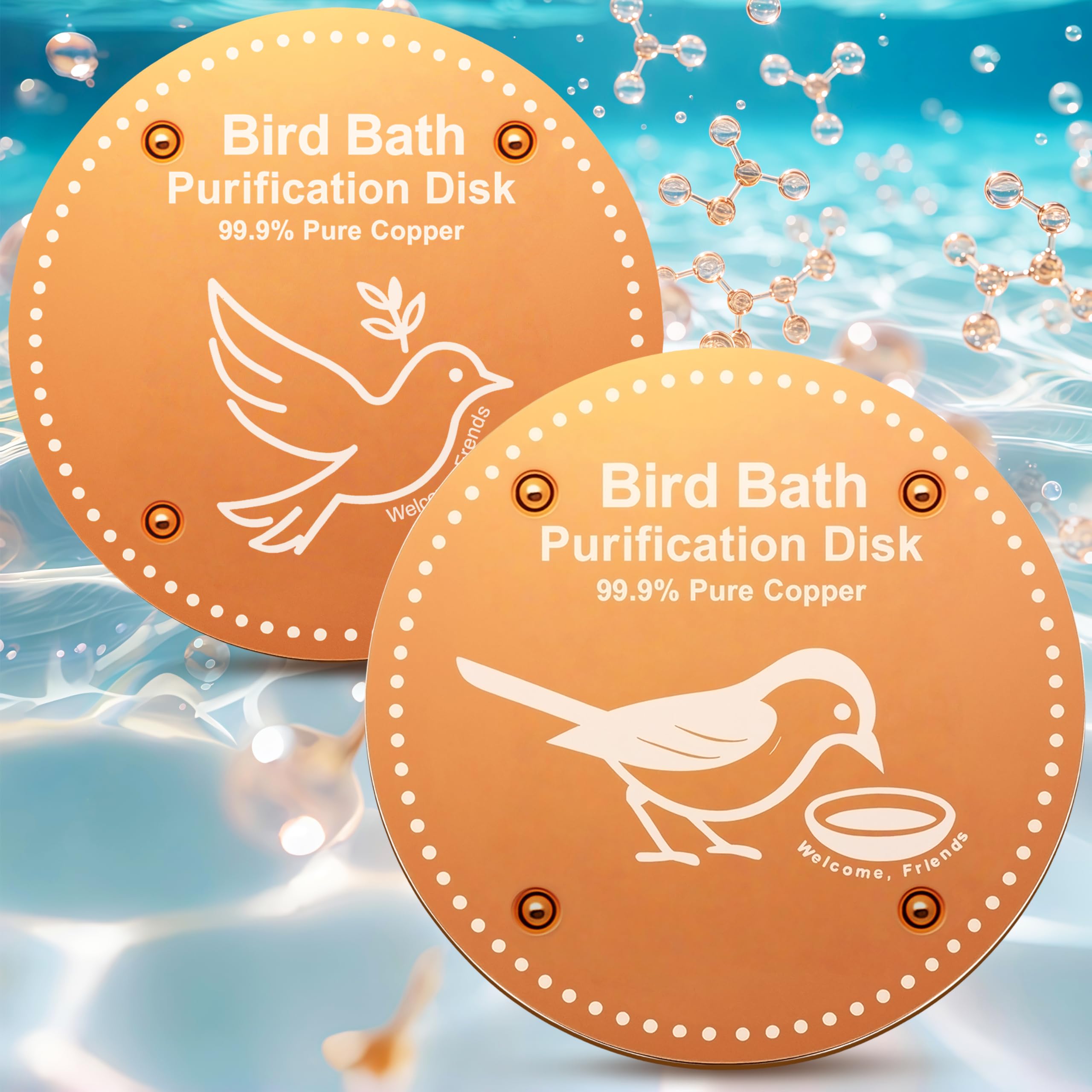 OICEME copper purification disk in a bird bath promotes clearer water for visiting birds.