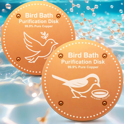 OICEME copper purification disk in a bird bath promotes clearer water for visiting birds.