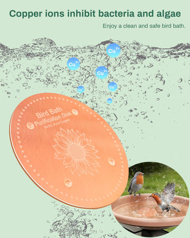 OICEME bird bath water clear depiction for inviting hummingbirds.