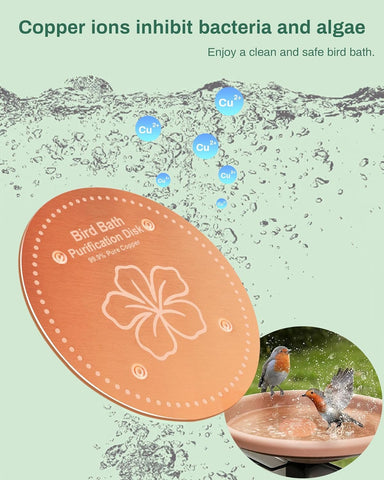 OICEME birdbath disk installed in a decorative bowl maintains cleaner water for visitors.