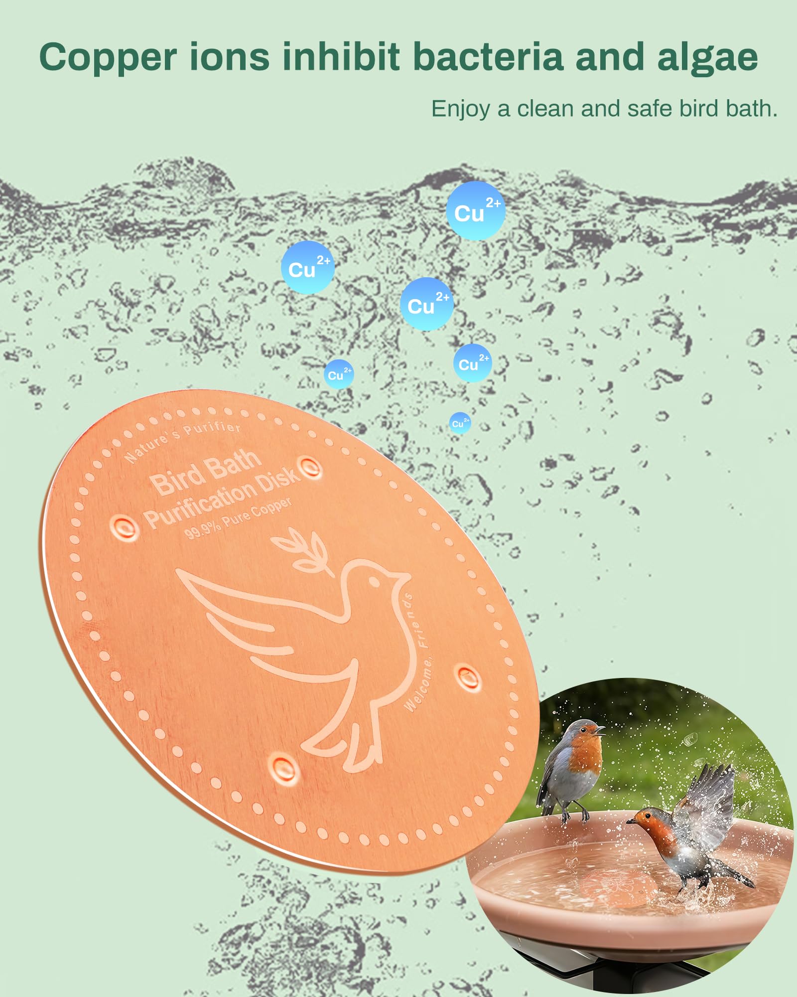 OICEME birdbath setup with purification disk ensuring water clarity for visiting birds.