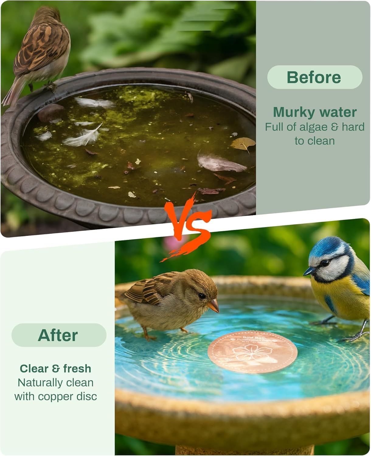 OICEME outdoor copper disk in a fountain supports year-round water clarity outdoors.