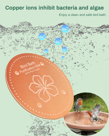 OICEME solar-powered birdbath heater complements the disk in winter.