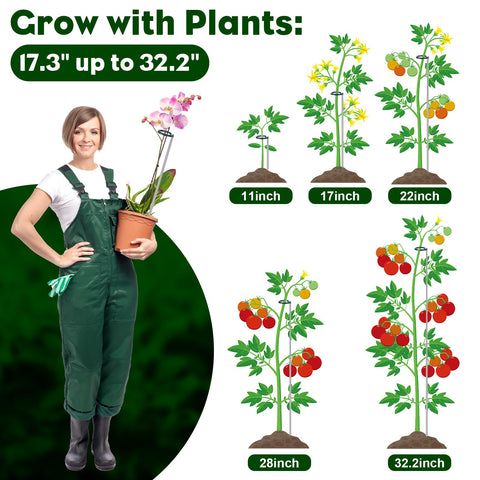 Oiissuz extendable Monstera stake in pot supports indoor plant stability.