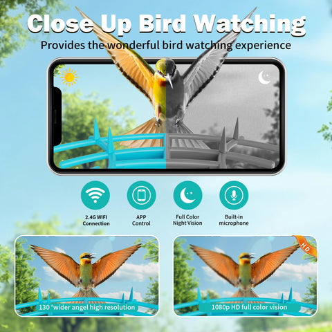 OIRHNL 2K HD camera captures vivid daytime and nighttime birds.