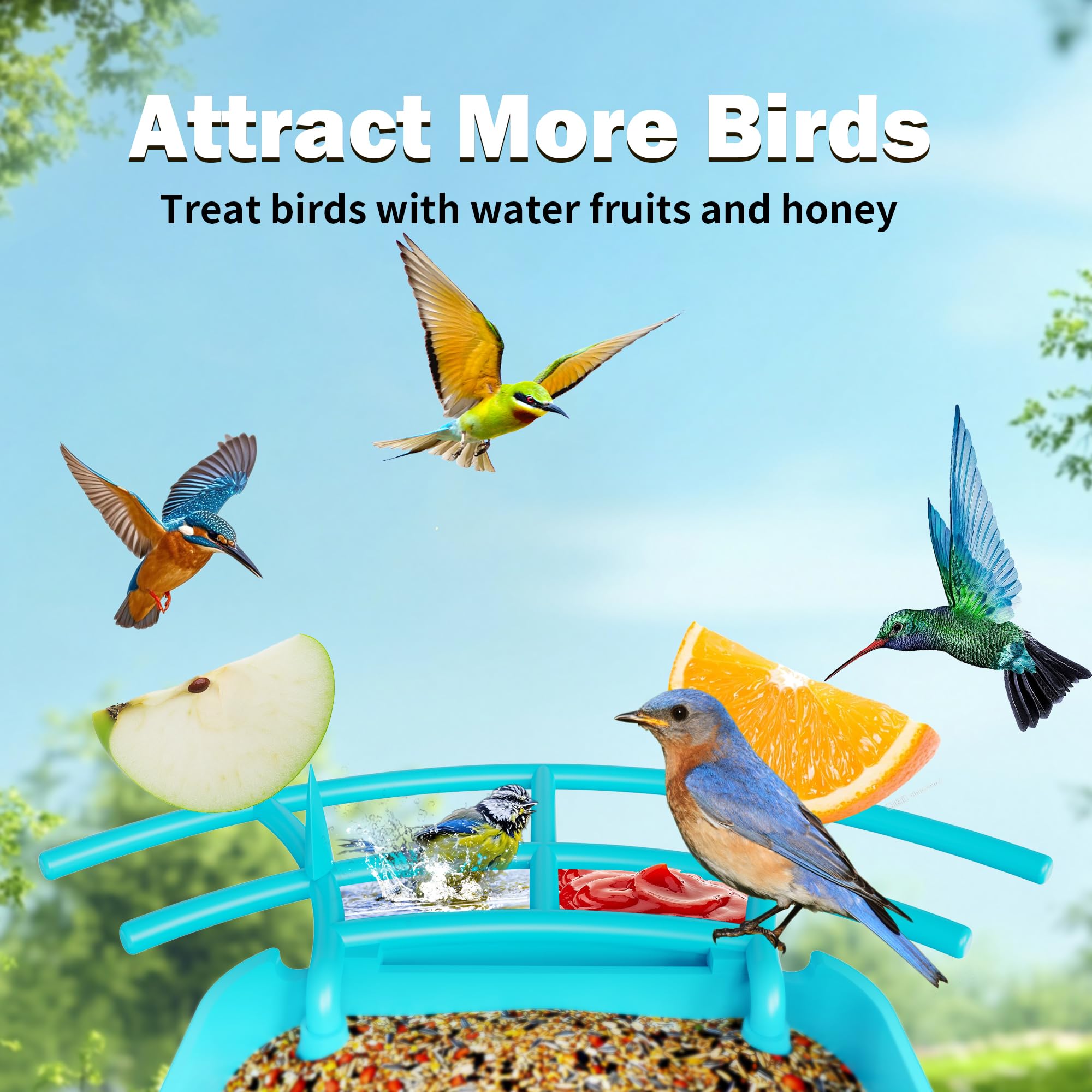 OIRHNL smart feeder 3L capacity reduces refills during birdwatching.