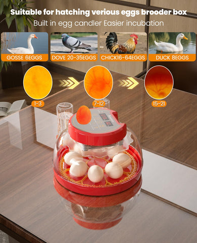OISEAUXEON built in egg candler for early fertilization checks