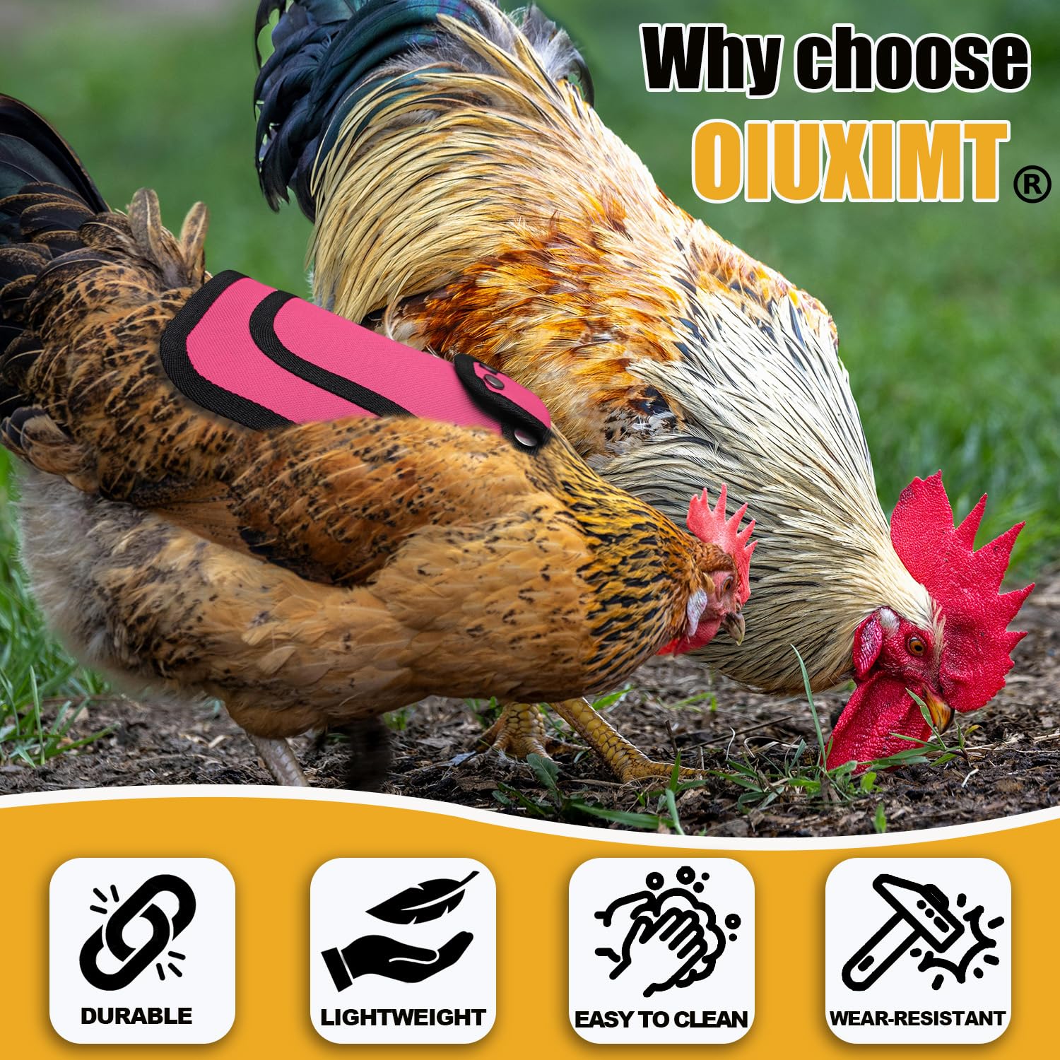 OIUXIMT chicken saddle color options help identify hens quickly