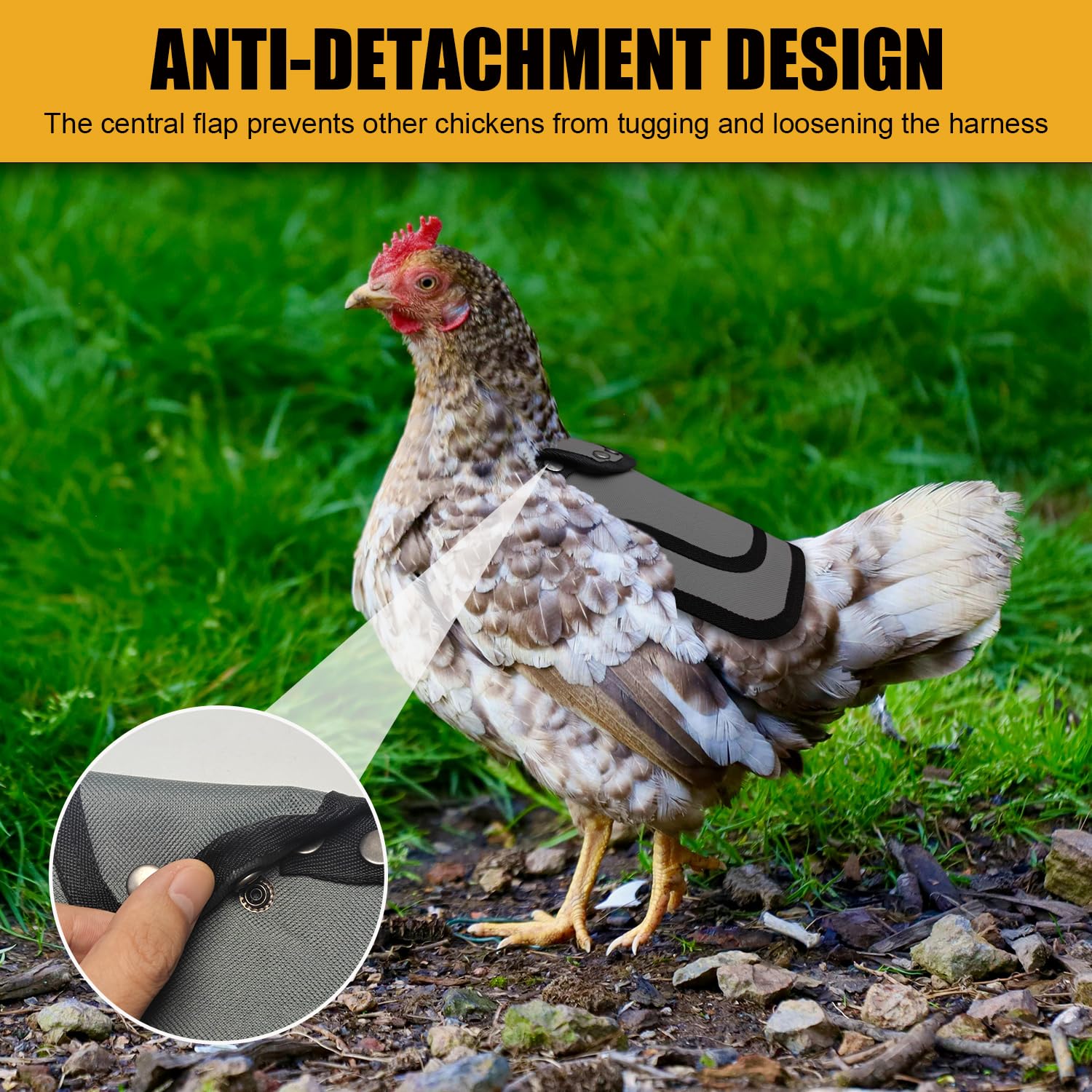 OIUXIMT chicken saddle waterproof design is easy to clean and reusable