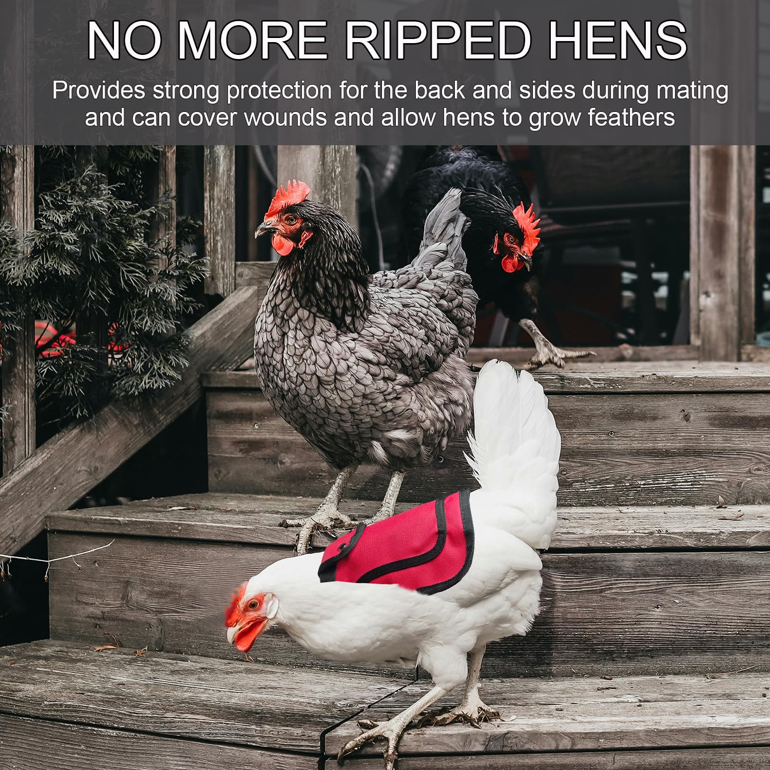 Oiuximt feather-repair coverage protects feathers and reduces snagging
