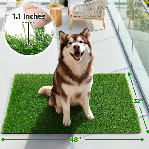 Oiyeefo turf surface offers a soft, pet friendly feel for comfortable paws.