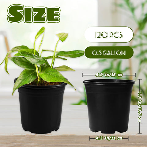 OJYUDD 0.5-gallon seedling pot suited for small sprouts.