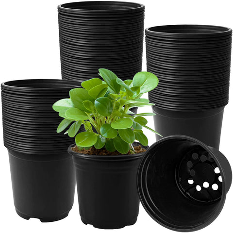 OJYUDD 120-pack black nursery pots ready for batch seedling transplantation.