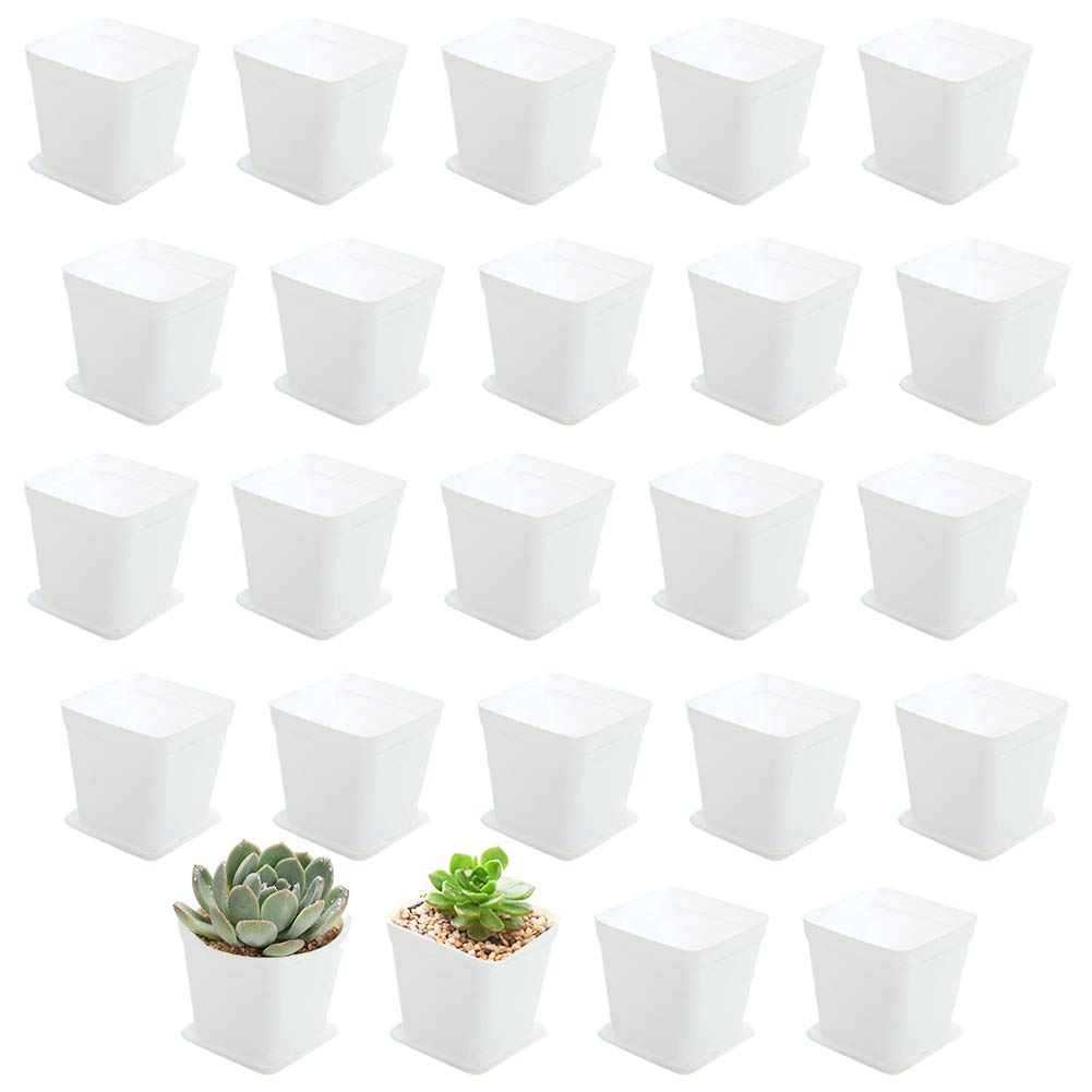 OJYUDD 24 pack white square pot with saucer keeps moisture contained.