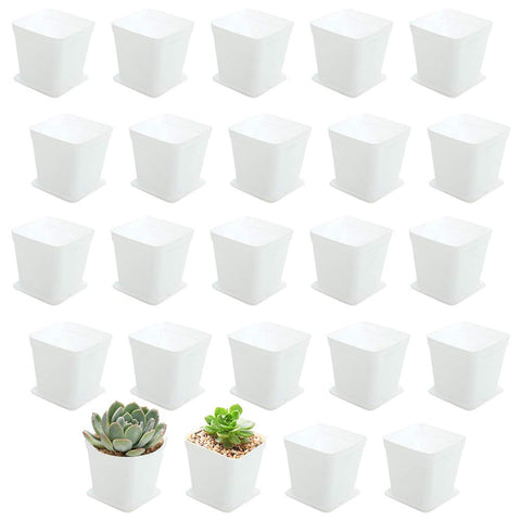 OJYUDD 24 pack white square pot with saucer keeps moisture contained.